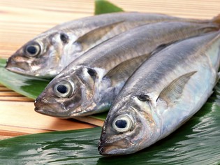 築地からの仕入れだけでなく、自ら釣り上げた鮮魚でもてなします