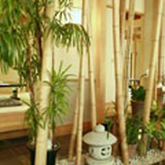 純和風でとても落ち着いた雰囲気が魅力の鰻専門店