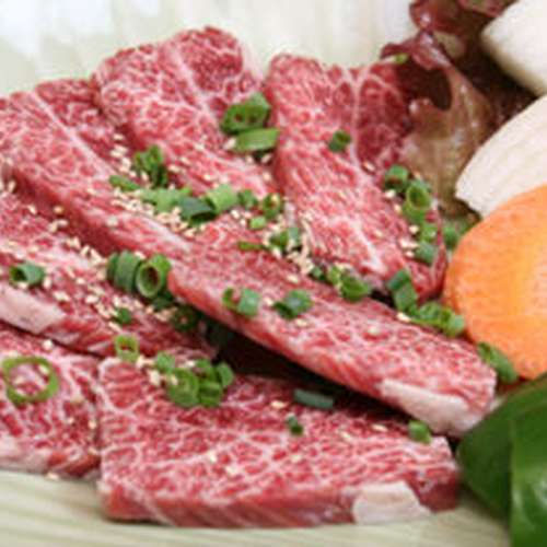 焼肉 大臣 延岡/日向/焼肉 ネット予約可 | ヒトサラ