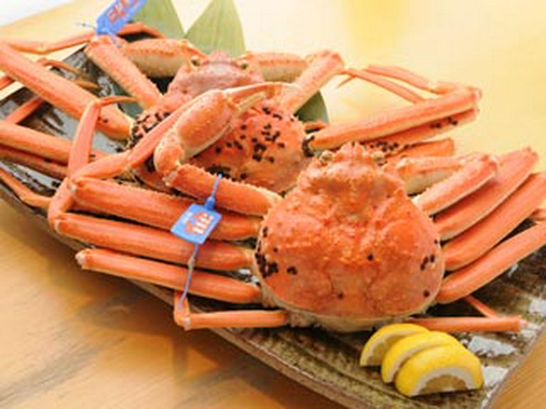 日本海の冬のご馳走、活きた蟹料理ご堪能下さい。