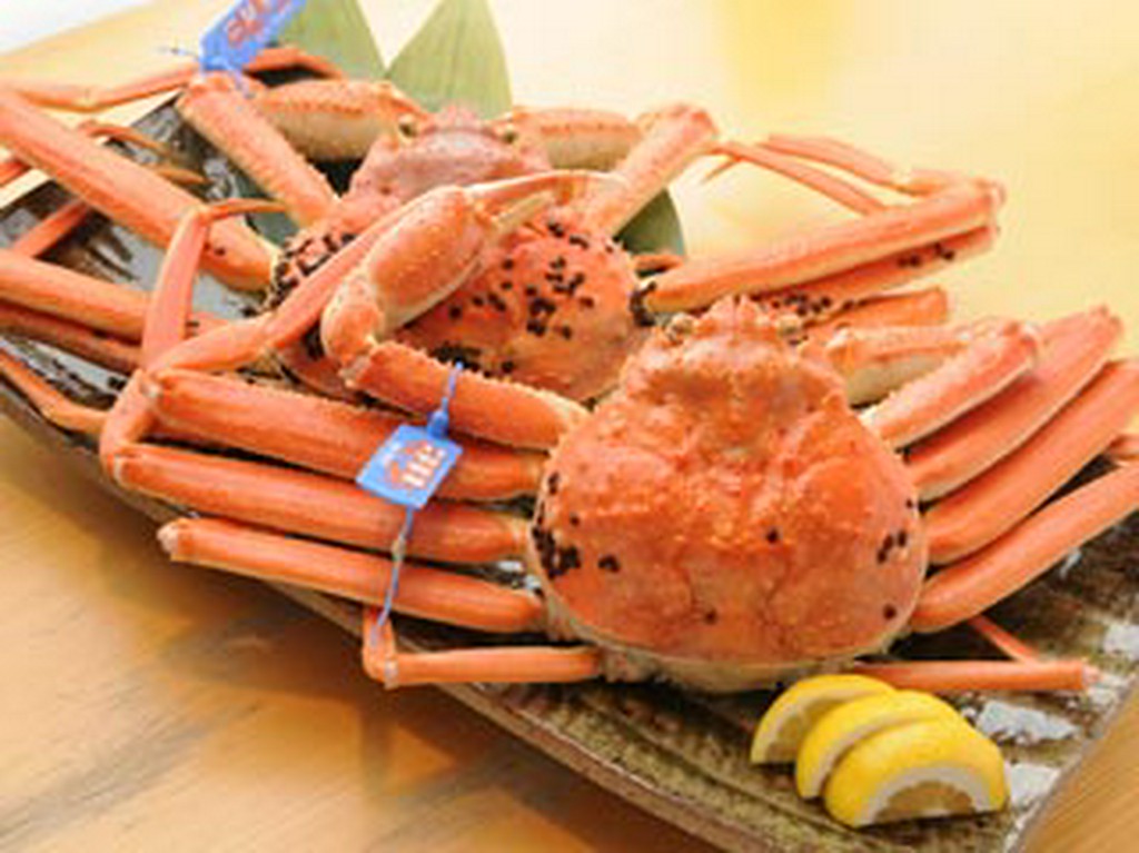 日本海の冬のご馳走、活きた蟹料理ご堪能下さい。