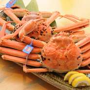 日本海の冬のご馳走、活きた蟹料理ご堪能下さい。
