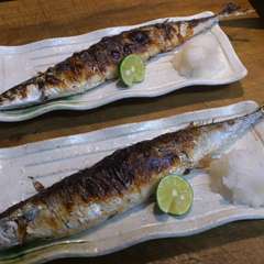 隠れすぎています😆