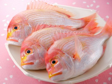 【季節の会席】春・夏のおすすめ　：　鯛づくし会席（５～６月）