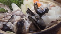 九州より直送で提供致しますので仕入れにより価格
が変わりますのでお問い合わせください。
