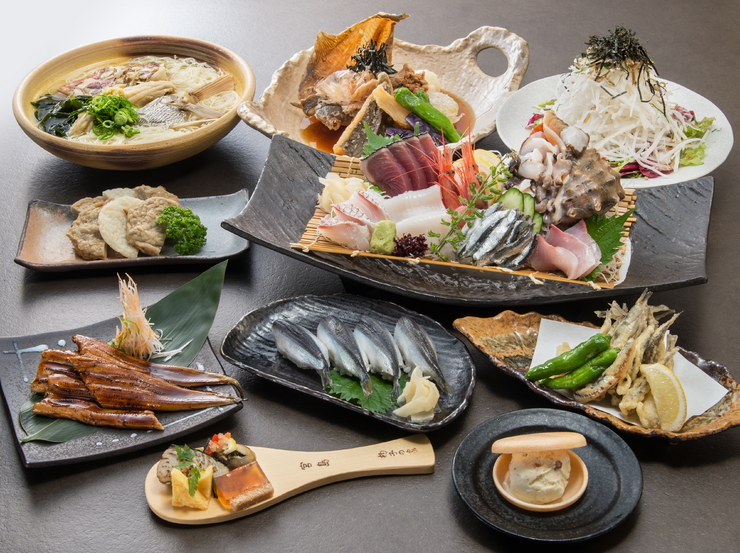 sashimi (iroiro)