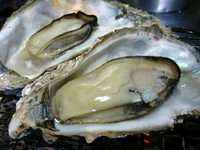 雑草庵では牡蠣の名産地、広島と岡山の牡蠣を使用しており、ブリブリで肉厚なのが特徴です。銀座や赤坂ならこの3倍でもおかしくない最高品質の牡蠣です。広島の銘酒とともにお楽しみ下さいませ。