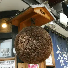 新酒入荷を意味する「杉玉」がある海鮮居酒屋