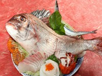 四季折々の旬魚の盛合わせです。長崎の地魚・青物がふんだんに盛り込まれています。