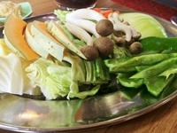 キャベツ、玉ねぎ、人参、ピーマン、カボチャ、しめじ