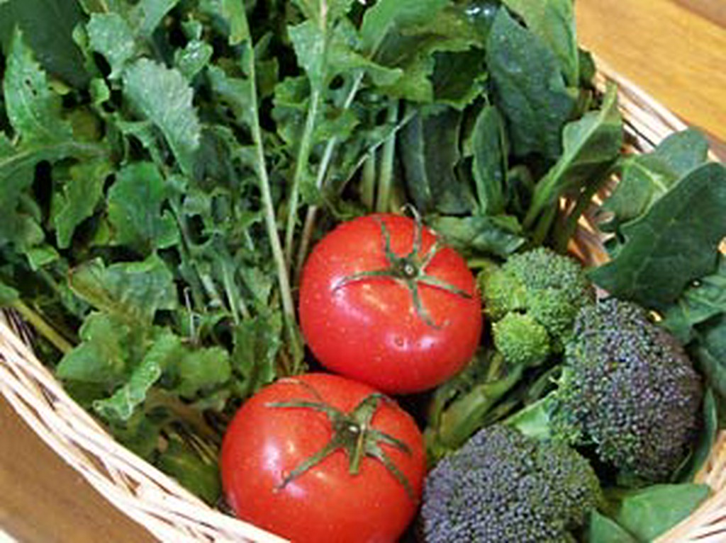 自家栽培の野菜をたっぷりと