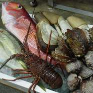 あわび、活き伊勢エビ、活き車エビ、活きヤリイカ、あまだい、シマアジ、ミル貝、赤貝、このほかにもホタテ貝、ウニ、かんぱち、真鯛等　市場に行くとほんと楽しいですよ～