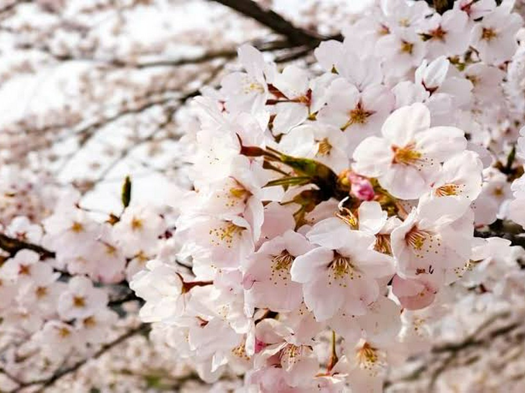 五反田　目黒川沿いの落着いた雰囲気のイタリアンでゆったりと‥