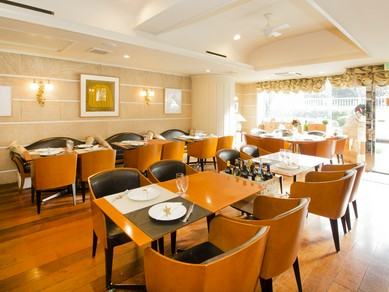 2025 桜　花見　目黒川　予定/3月22から花見予定！