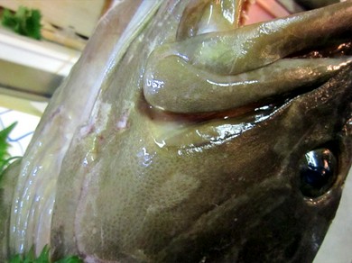 忘年会におすすめ