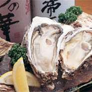 北海道の厚岸や仙鳳趾をはじめとしたカキの名産地から、ベストシーズンの素材を厳選。産地別に楽しめるほか、焼きガキや生ガキ、カキフライ、酒蒸しなど、好みの調理スタイルで味わえます。