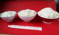 小ご飯が他店の普通くらいの量。普通ご飯でもかなり多め。大盛りご飯はおなかいーっぱい食べてください。
