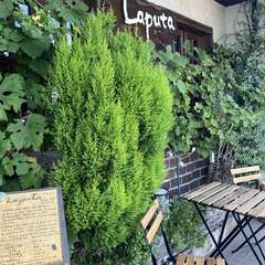 木の温もりを感じるあたたかみのある空間です。