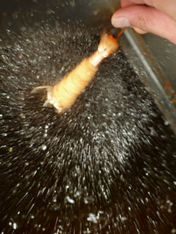 一串一串がリズミカルに揚がる