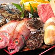 毎日市場に赴き、料理人の確かな目で目利きして仕入れるという新鮮な魚介が豊富。長崎の「のど黒」や下関の「くじら」など、選りすぐりの食材が揃っています。山口県油谷産の和牛も見逃せません。