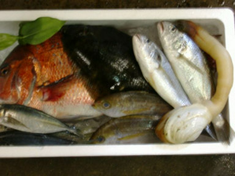 獲りたての魚