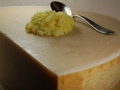 パルミジャーノチーズのリゾット