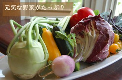 地元の元気な野菜もふんだんに使っています！