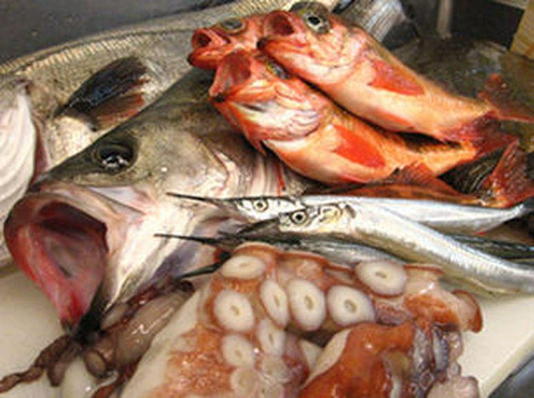 朝、仕入れて来たばかりの鮮魚、鮮度バツグンです！