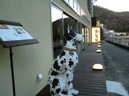 早川側玄関では「デカワンコ」がお出迎え！