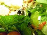 【お料理・3時間飲み放題・3.5時間室料・税サ】全てが含まれております。