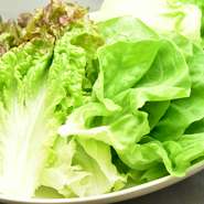 巻き野菜盛り合わせ