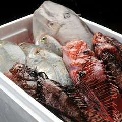 確かな目で厳選吟味、鮮度と質にこだわりぬいた鮮魚