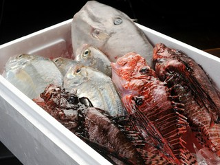 産地直送/市場直送