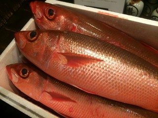 本日の産直食材