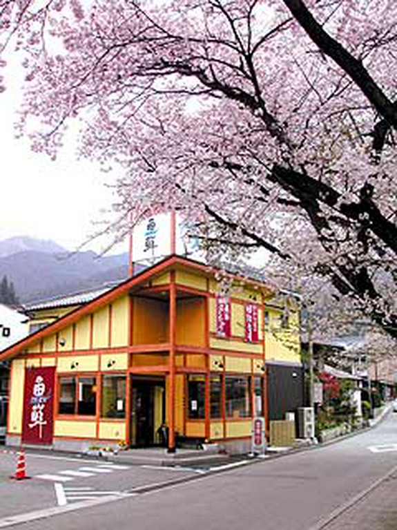 魚鮮下呂店へようこそ