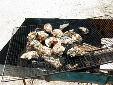 大人2000円で新鮮な浦村かき食べ放題をお楽しみいただけます！