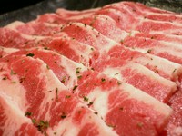 ☆幻のカルビ裏サンカク☆柔らか霜降り極味カルビ☆壺漬けごろごろげんこつカルビ☆肉汁あふれる厚切りハンテン☆ごろごろ磯焼ホタテ・味わい濃厚ハラミ・宮廷風プルコギ