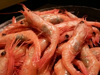 ・磯焼き紅甘海老
・粗挽ソーセージ