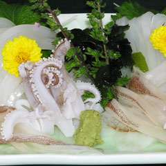 写真はヤリいか！　店主の釣り物です。