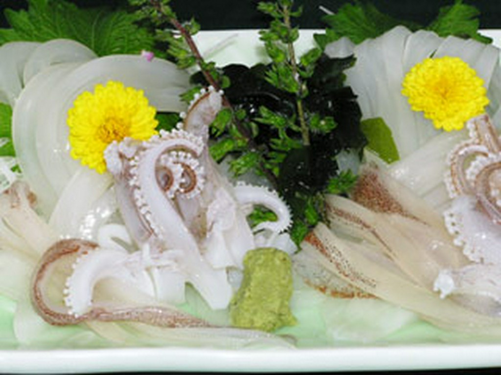 釣物　ヤリイカ刺し