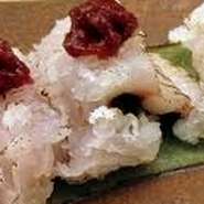 京名物 鱧（はも）の湯引き（鱧落し）or 鱧（はも）の焼き霜