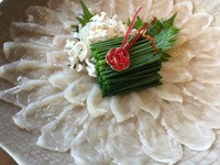 フグの王様『トラフグ』のみを使用した味・ボリュームともに大満足な贅沢フルコース！4日前までのご予約をお願いします。