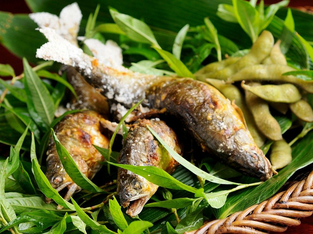 天然鮎の塩焼き