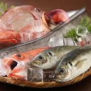 創業70年の魚屋がはじめた寿司店。毎朝、早川港に赴き、相模湾の朝獲れの地魚などを仕入れます。近隣の旅館や料亭に仕出しする、良質な魚を確保。中間コストがない分、良心的な価格で提供できます。