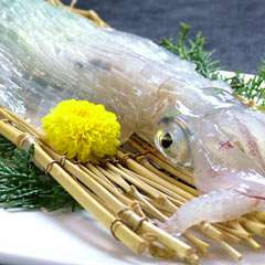 呼子や玄界灘で採れた魚介が手頃な料金で味わえます。