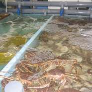 蟹用水槽を3基設置しており、干し魚、いくら等の魚卵類が御座います。