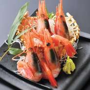 写真はイメージです。