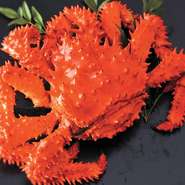 茹で

熱々をご提供するため、オーダーを頂いてから茹で上げますので30分～40分のお時間を頂戴します！