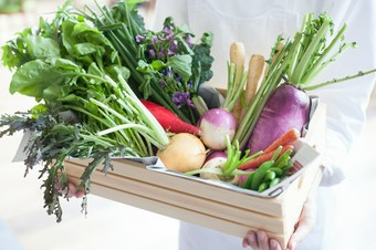 産地直送無農薬野菜
