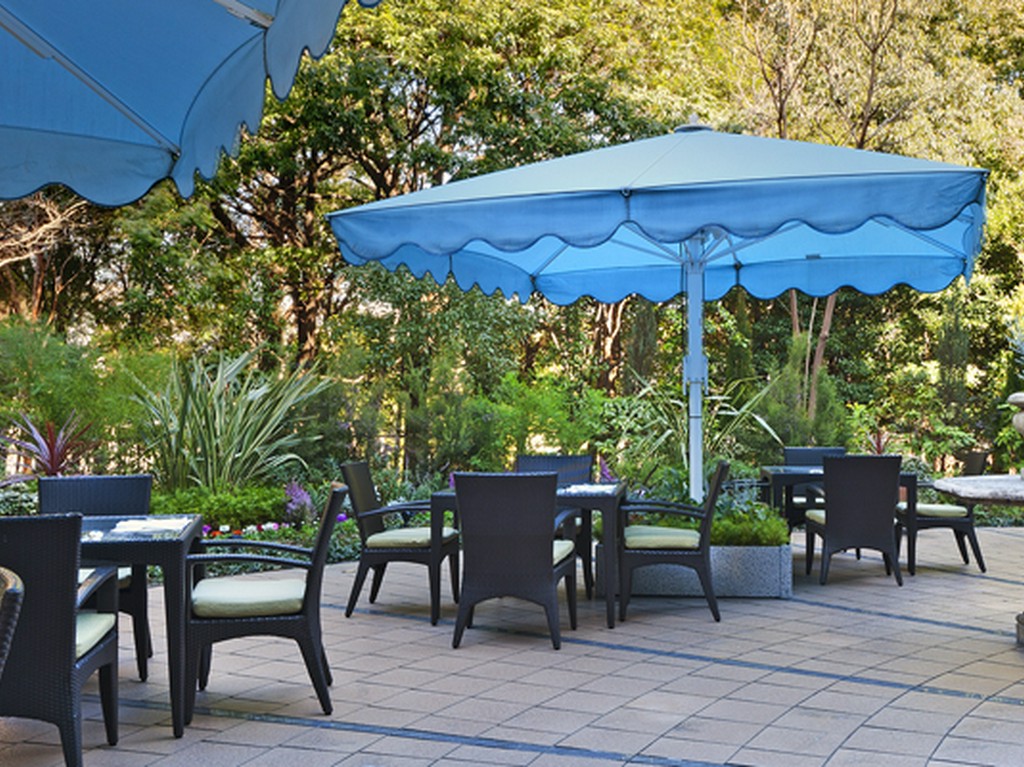 四季の移ろいを五感で感じるなら、「パティオ」がおすすめ